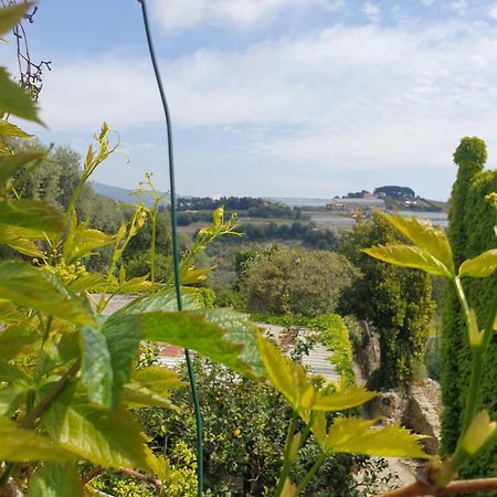 サンレモ Casa Di Ingrida Bussana Vecchiaヴィラ エクステリア 写真