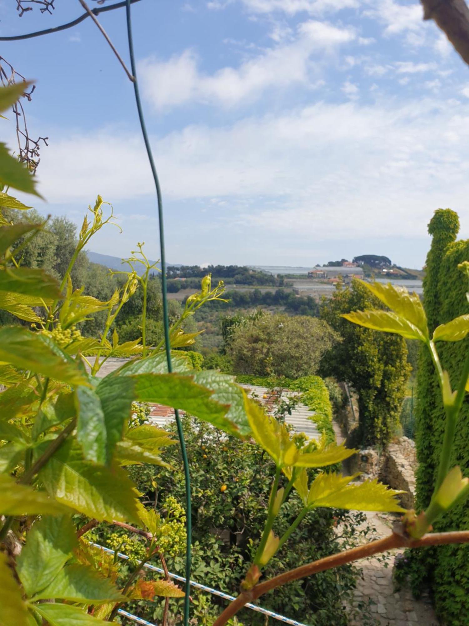 サンレモ Casa Di Ingrida Bussana Vecchiaヴィラ エクステリア 写真